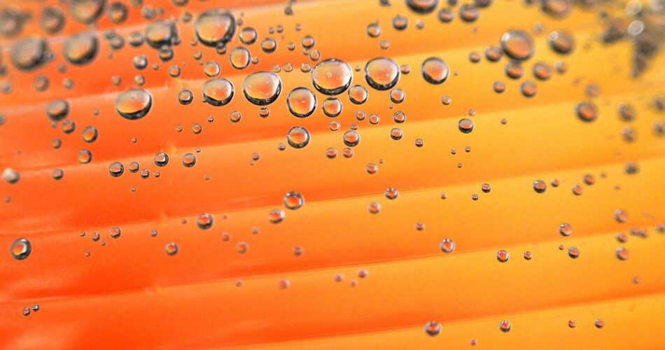 Bubbles Orange Dew Water Wet  - GeriArt / Pixabay