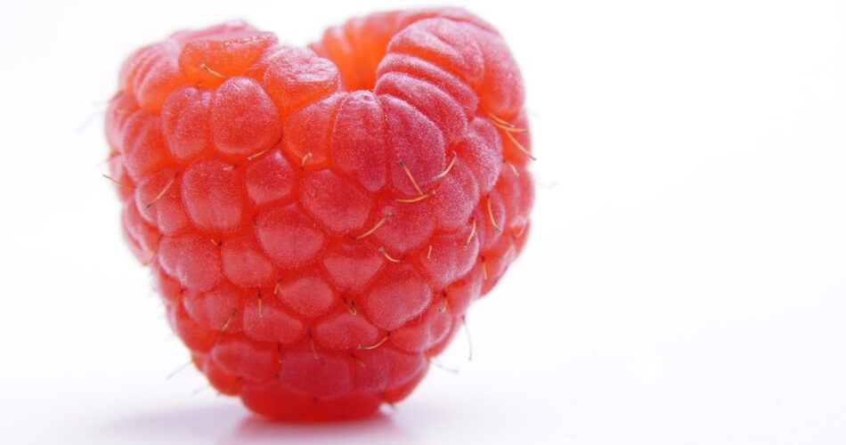 Raspberry Red Fruit Healthy Eat  - Mylene2401 / Pixabay